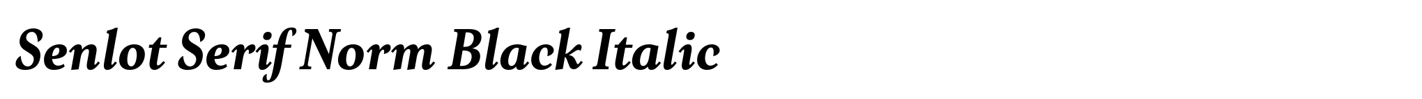 Senlot Serif Norm Black Italic image